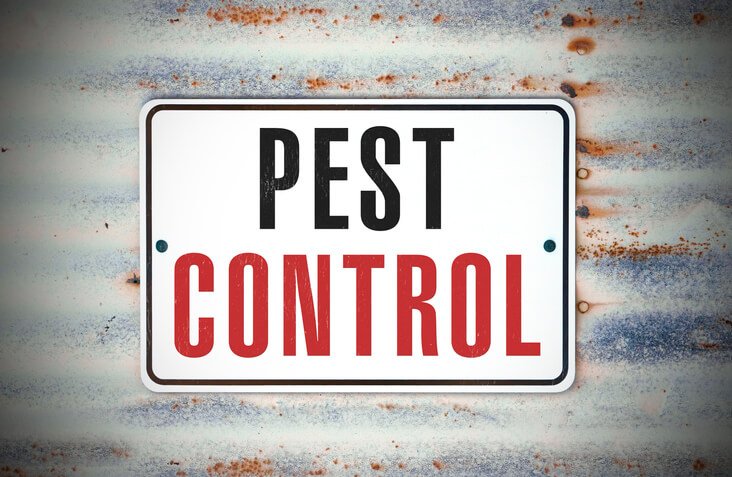 Pest Control Mississauga