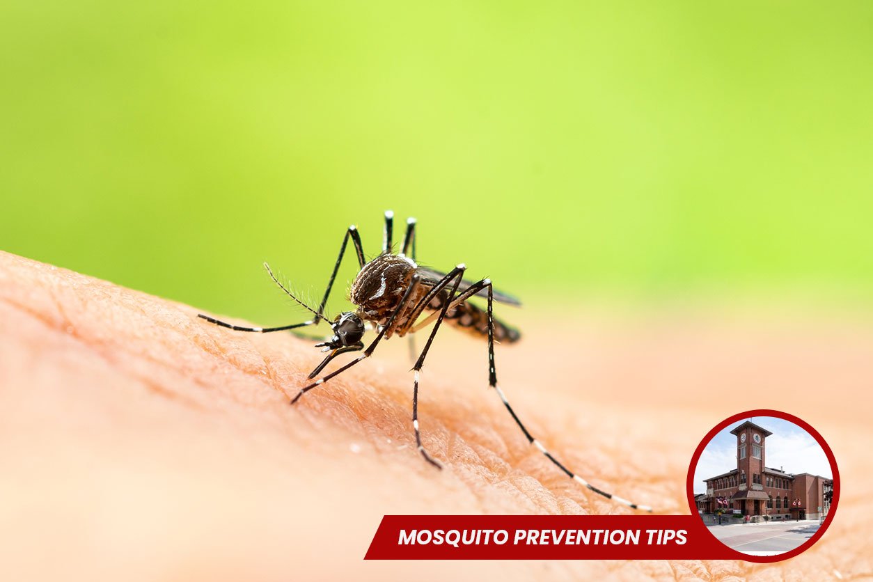Mosquito-Prevention-Tips