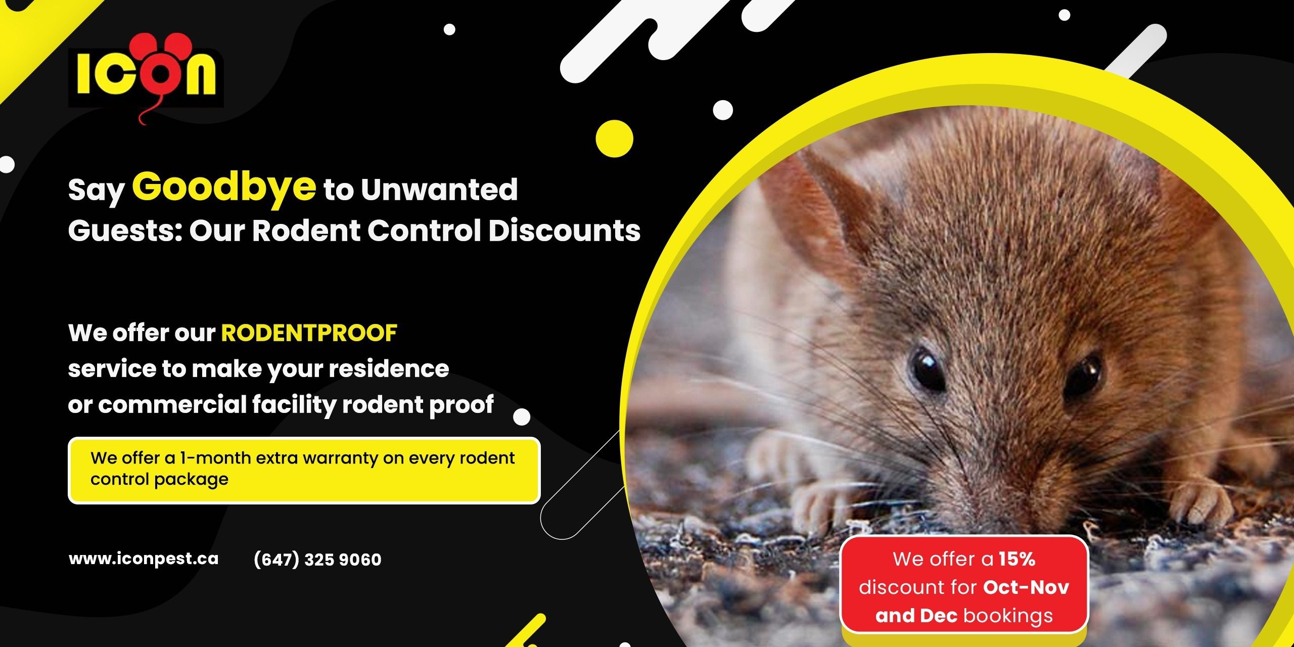 15% Off Expert Rodent Control Services | Icon Pest