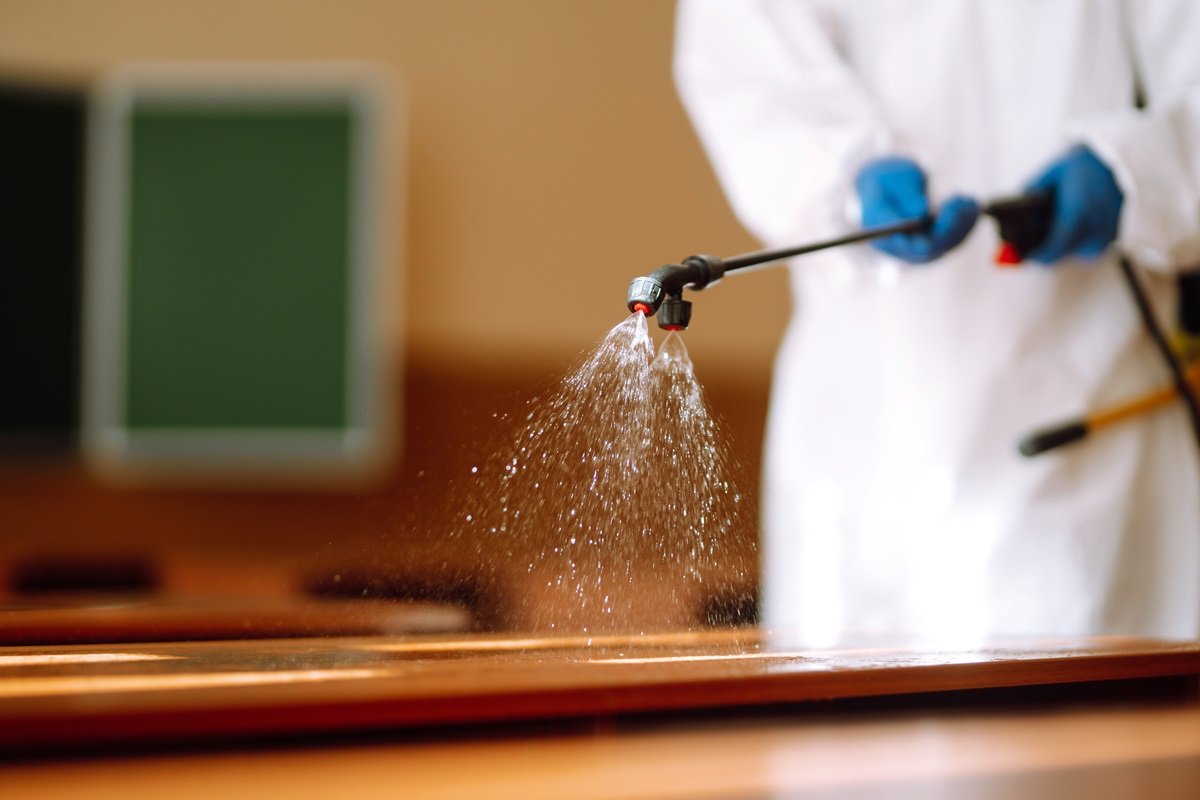 Bed Bug Removal in School