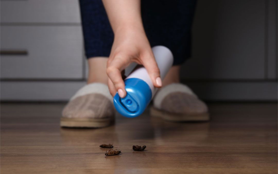 9 DIY Pest Control Hacks: Easy Solutions to Try Before Calling Icon Pest