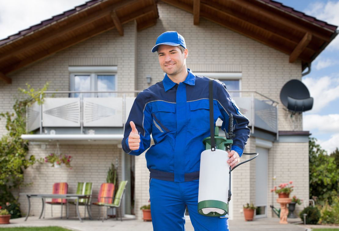 Residential Pest Control Company