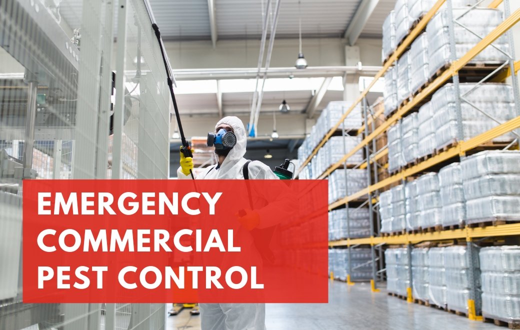 Emergency Commercial Pest Control