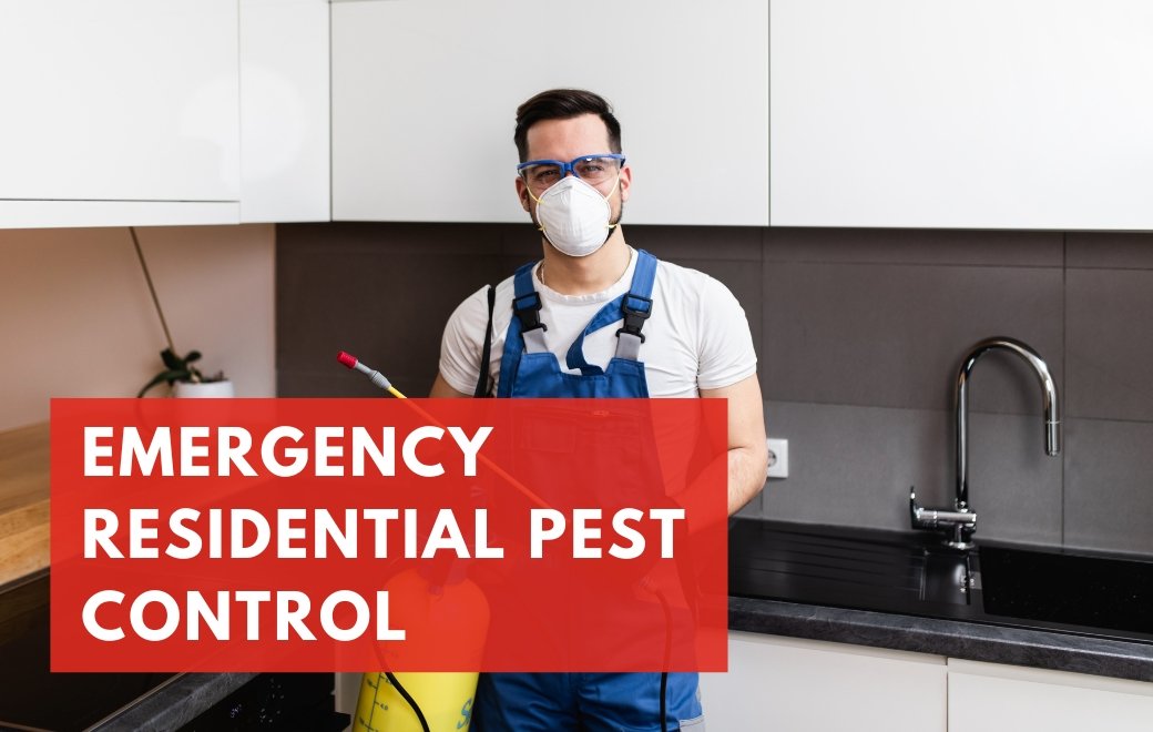 Emergency Residential Pest Control