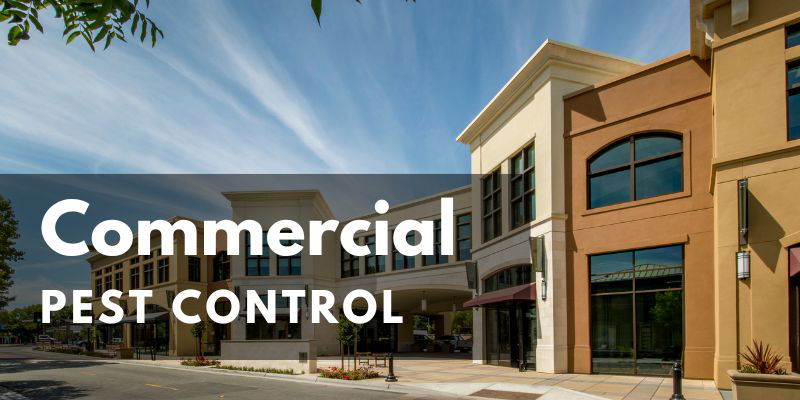 Commercial and Industrial Pest Control