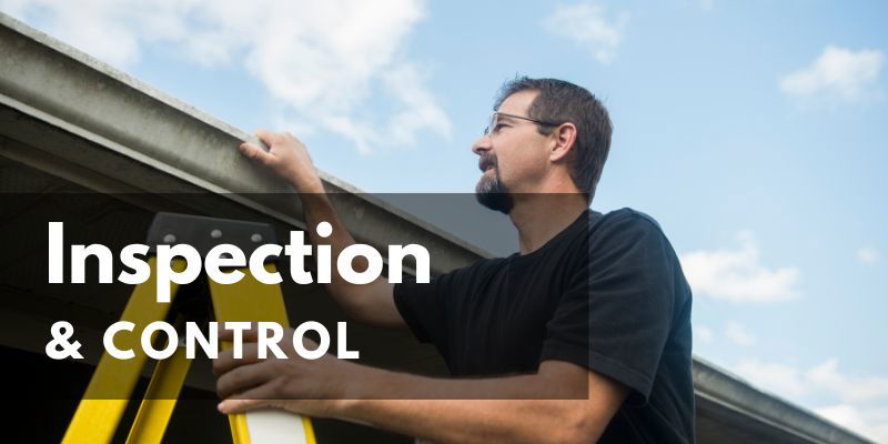 Pest Inspection and Control