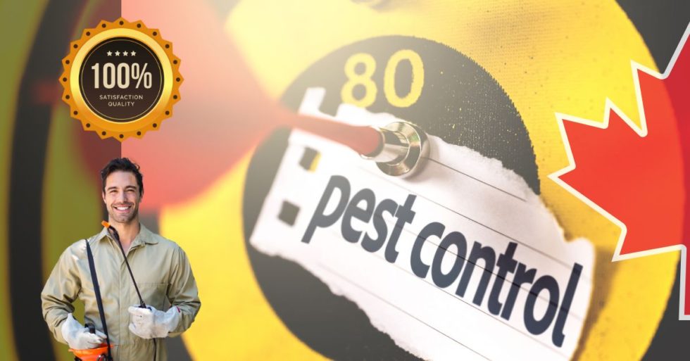 Pest Control Prices Toronto | Affordable & Trusted