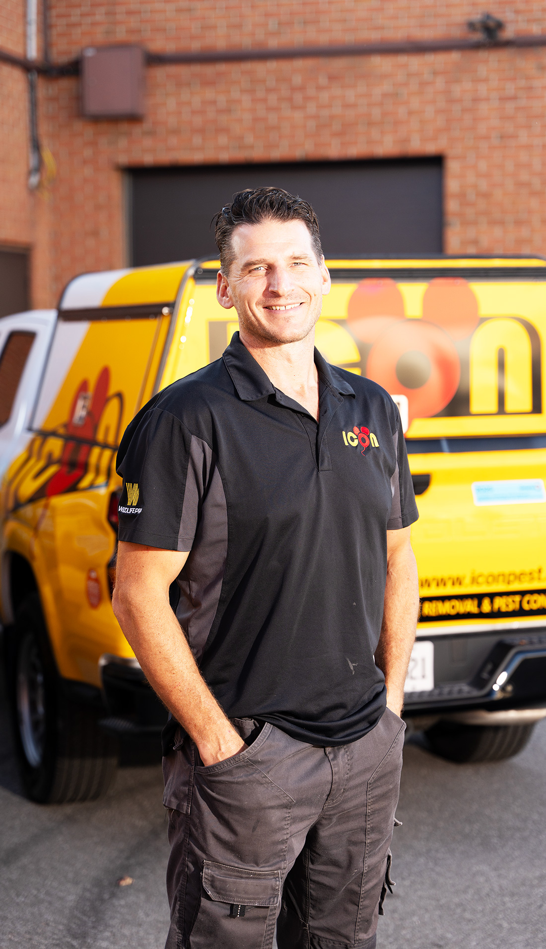 When apply raccoon removal in Toronto