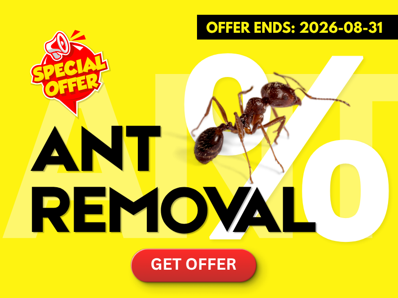 Ant Removal Promotions