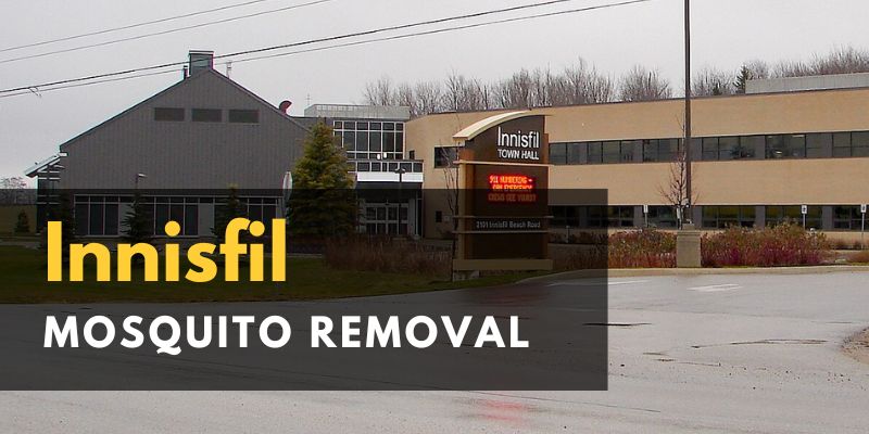 Innisfil Mosquito Removal