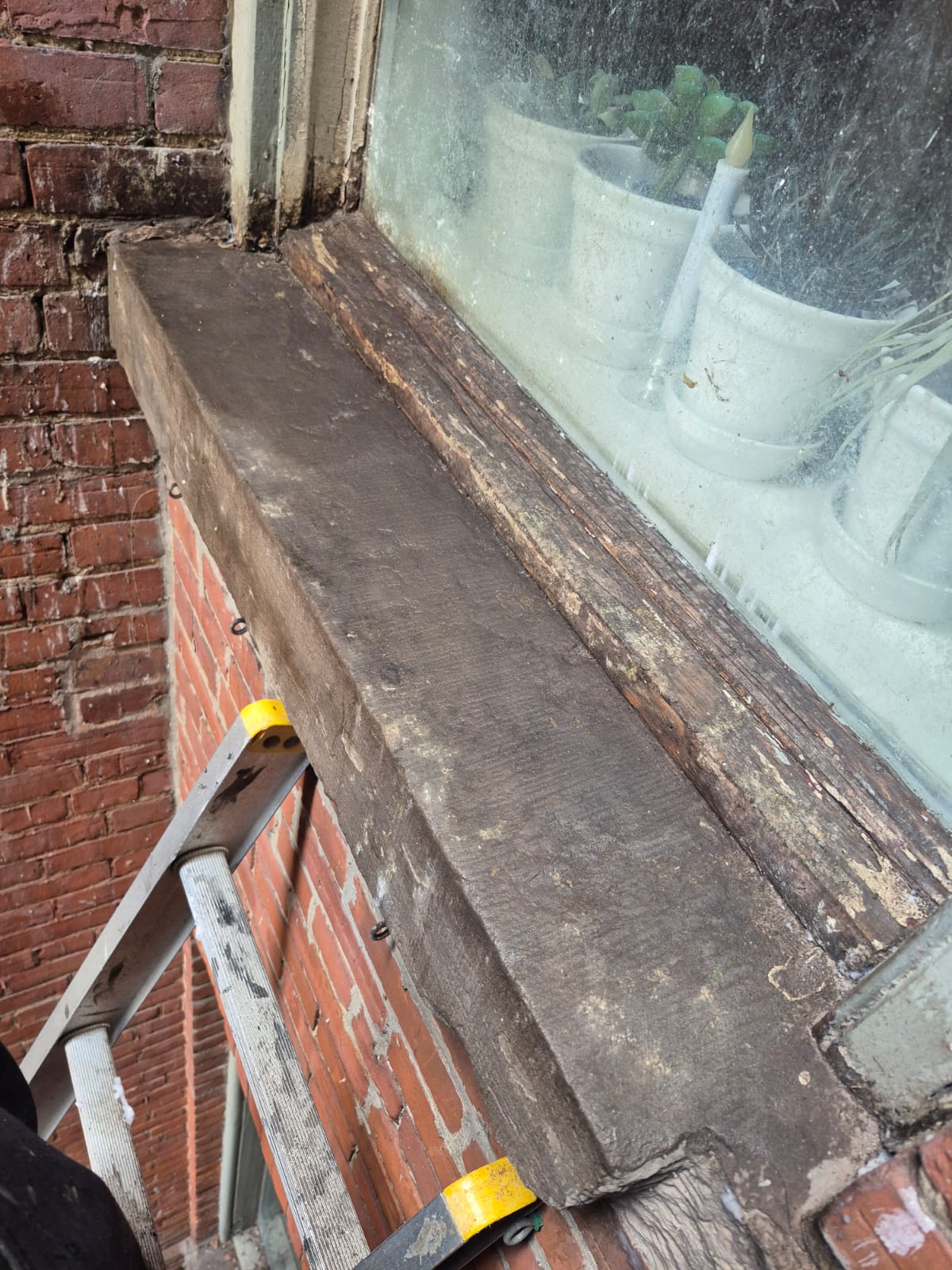 step 3 - Removal and Prevention