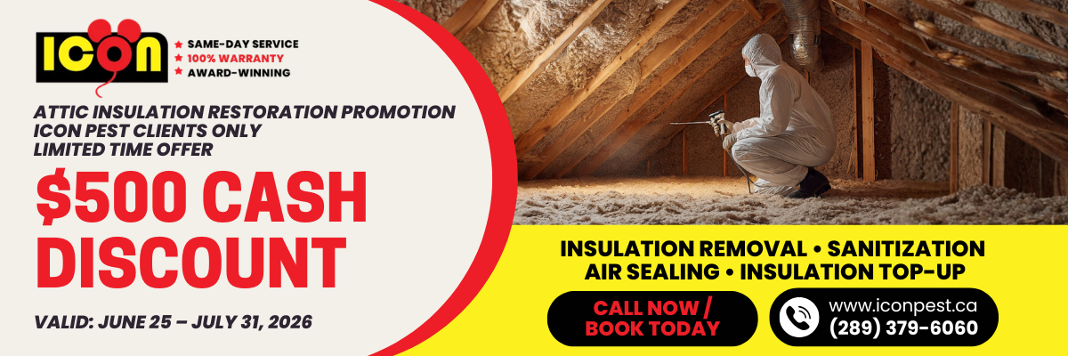 Icon Pest promotional banner for attic insulation restoration with a $500 cash discount, including insulation removal, sanitization, air sealing, and insulation top-up.