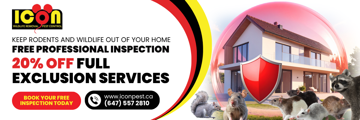 Icon Pest promotional banner for free professional inspection and 20% off full exclusion services to help keep rodents and wildlife out of homes.