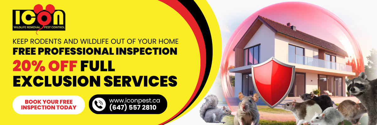 Icon Pest promotional banner for free professional inspection and 20% off full exclusion services to help keep rodents and wildlife out of homes.