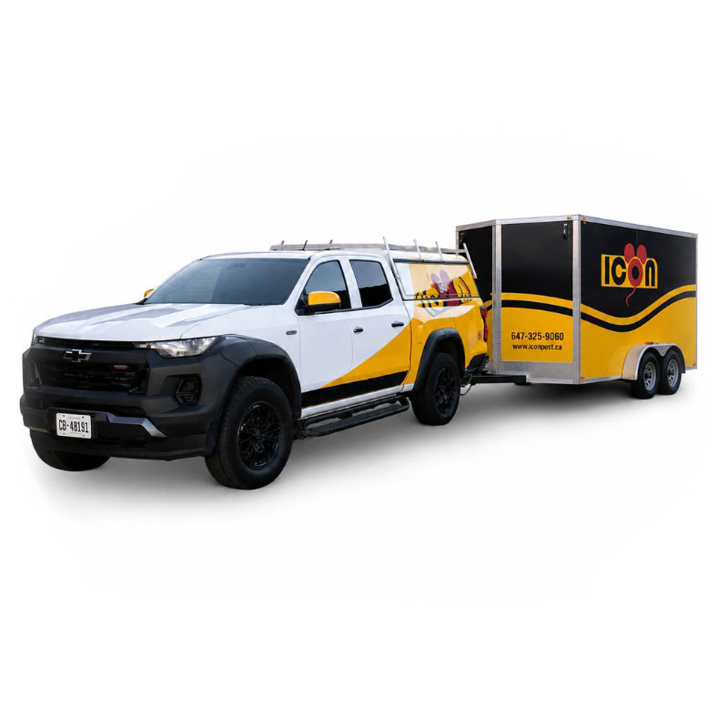 Icon Pest Disposal Car