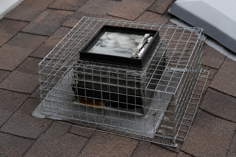 One-way wildlife door installed over a roof vent to prevent animals from returning to the attic