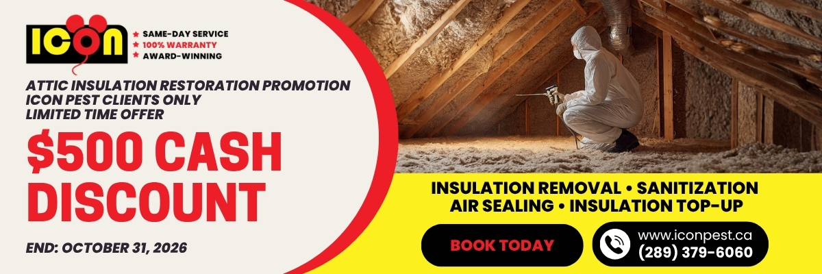 ATTIC INSULATION RESTORATION PROMOTION