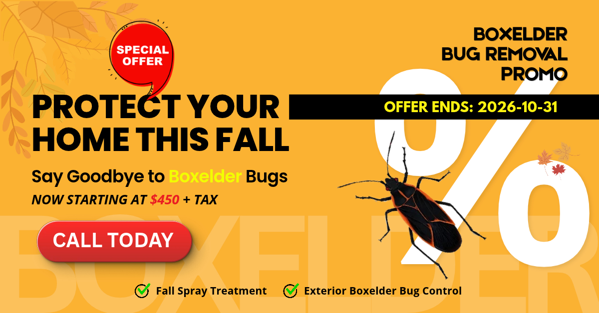 Icon Pest fall boxelder bug removal promotion with treatments starting at $450 plus tax until October 31, 2026.