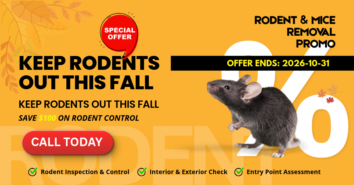 Fall rodent and mice removal promotion from Icon Pest offering $100 off rodent control until October 31, 2026.