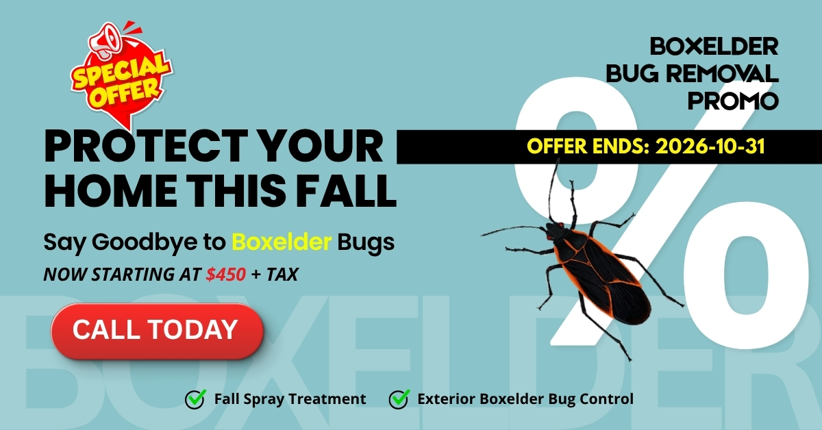 Boxelder Bug Removal Promotions