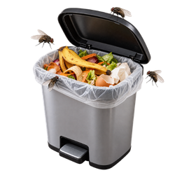 House flies around an open garbage bin containing food waste