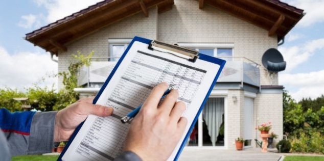 Pest control estimate being prepared for a residential boxelder bug problem