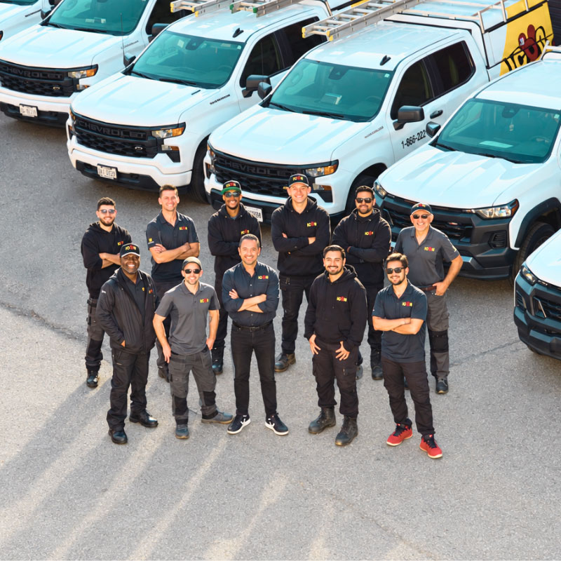 Icon Pest Team - Pest Control Expert in Ontario