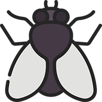 Pest Issue Fly Removal