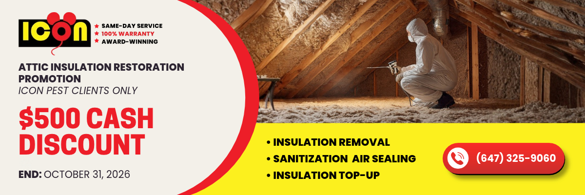 ATTIC INSULATION RESTORATION PROMOTION