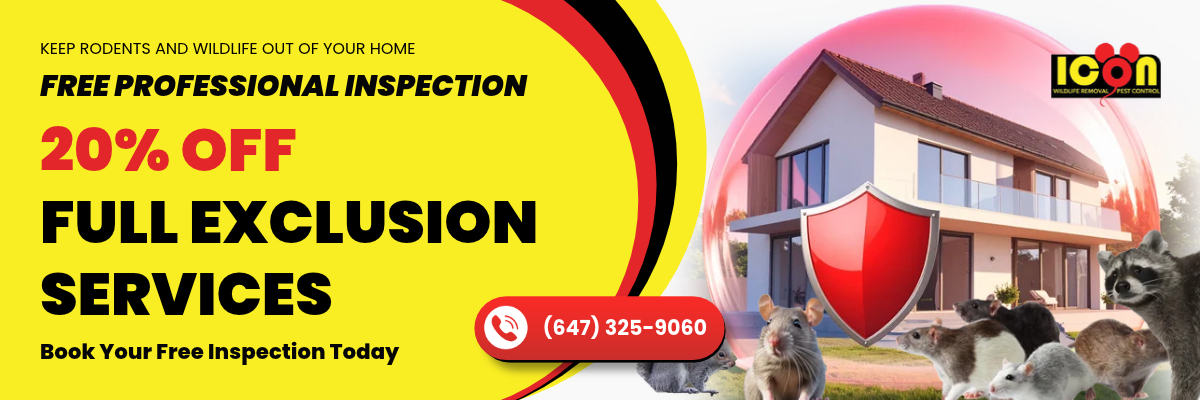 FULL EXCLUSION SERVICES PROMOTION